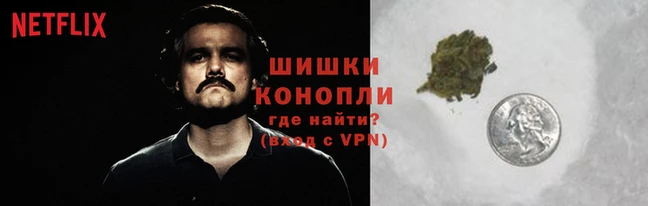 сатива Переславль-Залесский