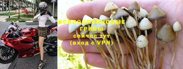 mdpv Алексин